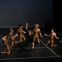 DLDC16